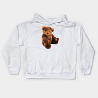 Brown Bear Kids Hoodie